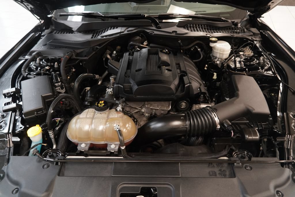 Used 2019 Ford Mustang Premium w/ Equipment Group 201A RWD image 35