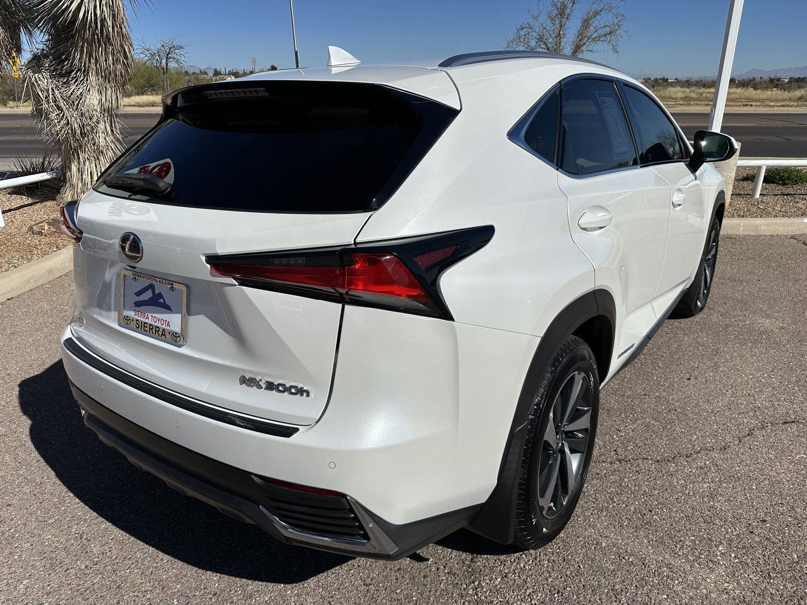 Used 2020 Lexus NX 300h AWD w/ Premium Package image 7
