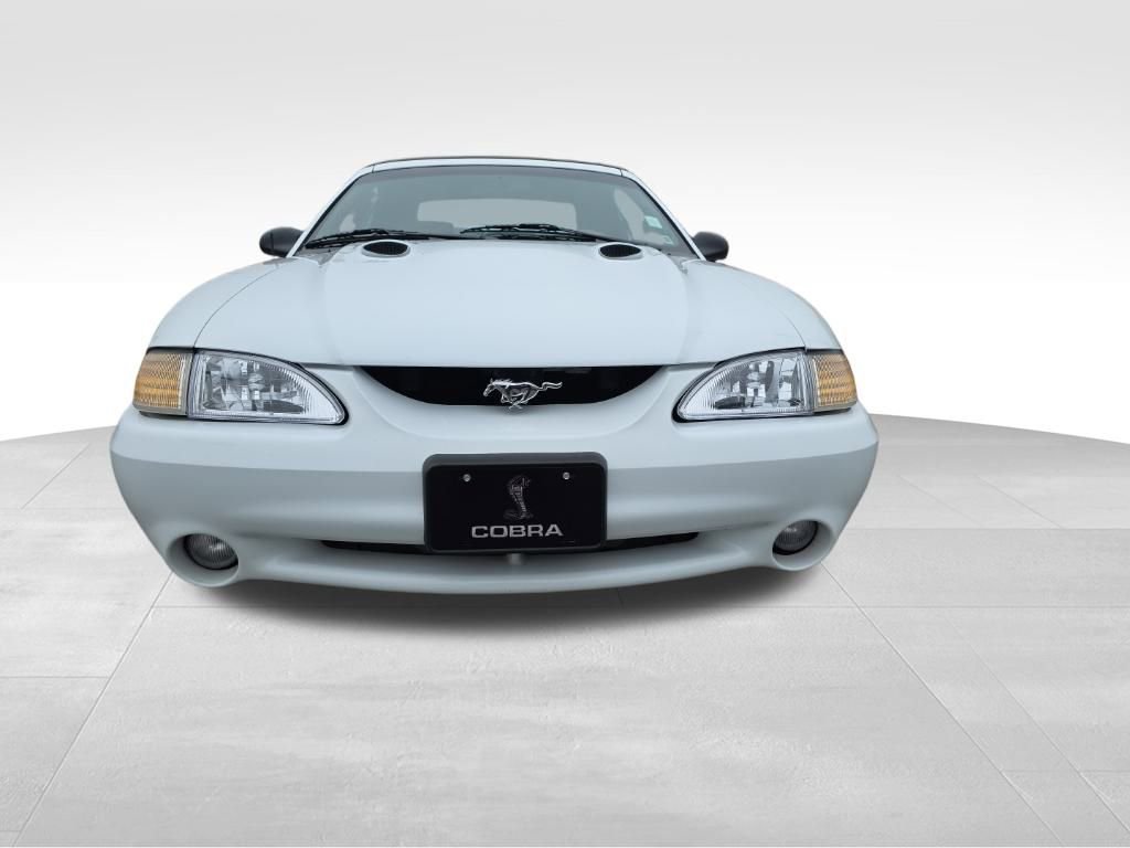 Used 1997 Ford Mustang Cobra image 2