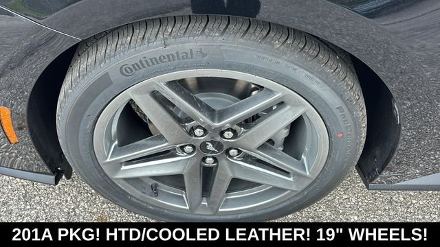 New 2026 Ford Mustang Premium RWD image 33