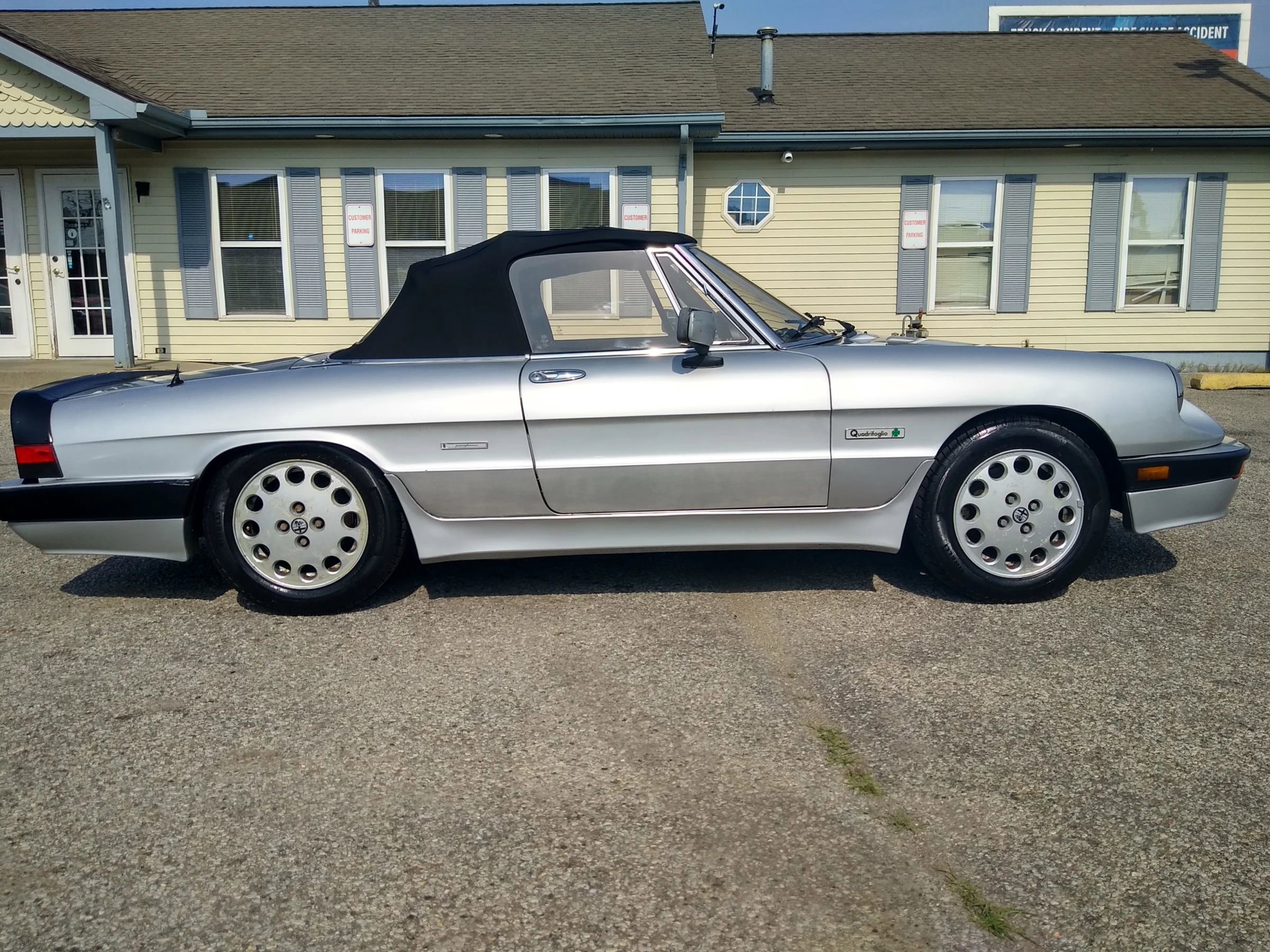 Used 1988 Alfa Romeo Spider Quadrifoglio image 6