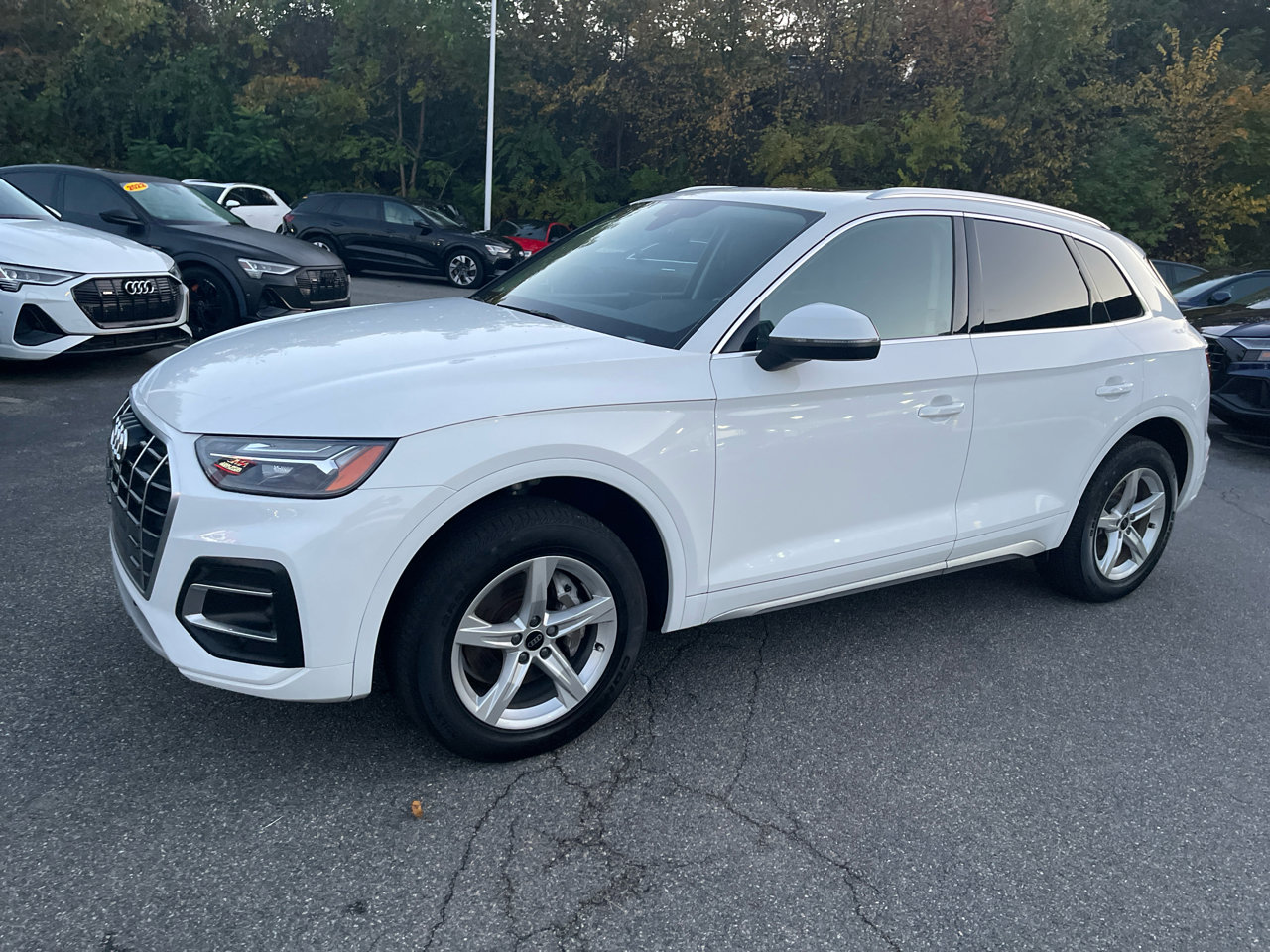 Used 2023 Audi Q5 2.0T Premium w/ Convenience Package image 6