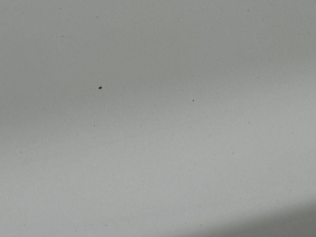 Used 2016 Chevrolet Silverado 2500 W/T image 29