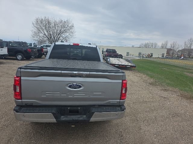 Used 2023 Ford F150 XLT w/ Equipment Group 302A High AWD/4WD image 4