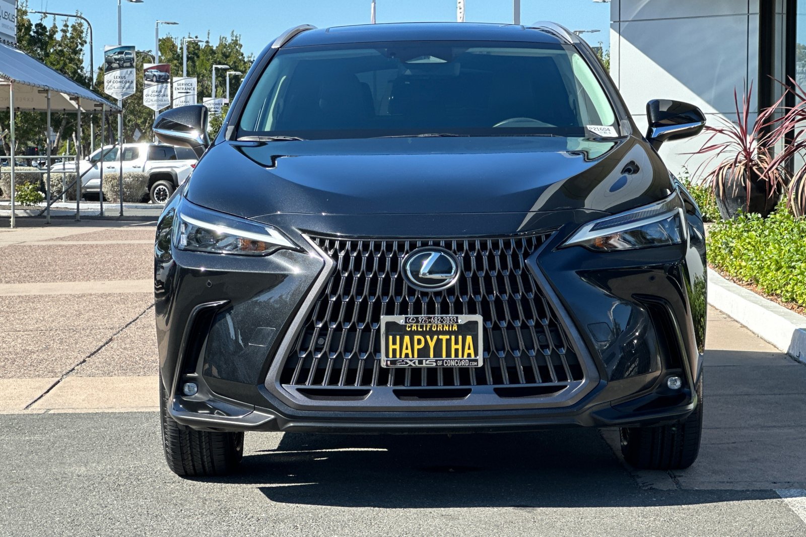 Certified 2024 Lexus NX 350h AWD image 6