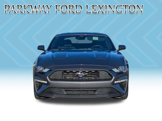 Used 2022 Ford Mustang Coupe w/ Equipment Group 101A image 2
