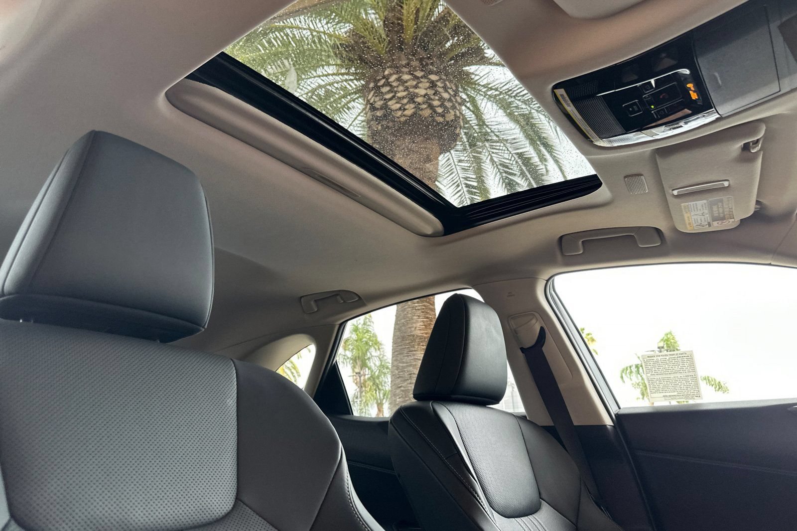 Certified 2025 Lexus NX 350h AWD w/ Cold Area Package image 20