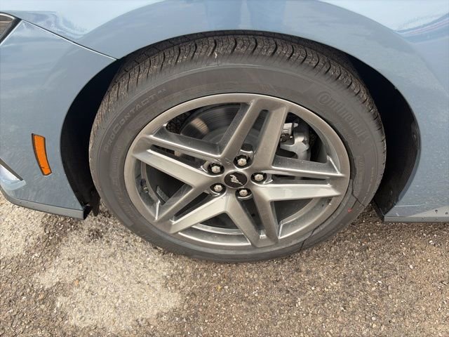 New 2026 Ford Mustang Coupe image 10