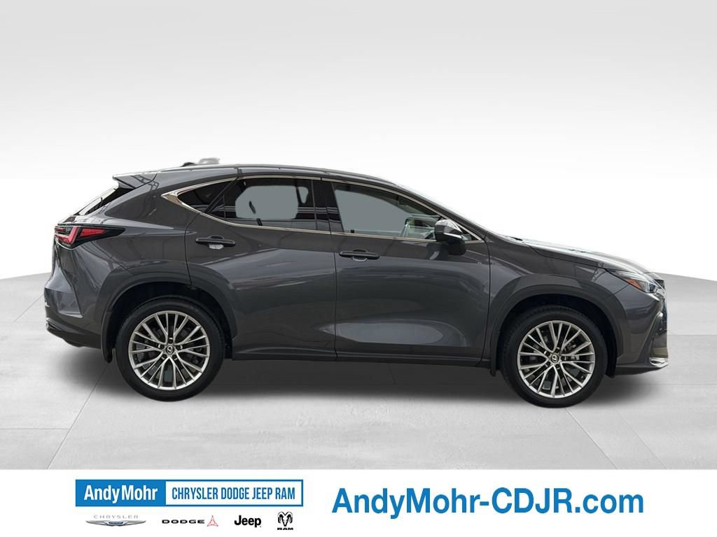 Used 2025 Lexus NX 350h AWD w/ Accessory Package (2T) image 8
