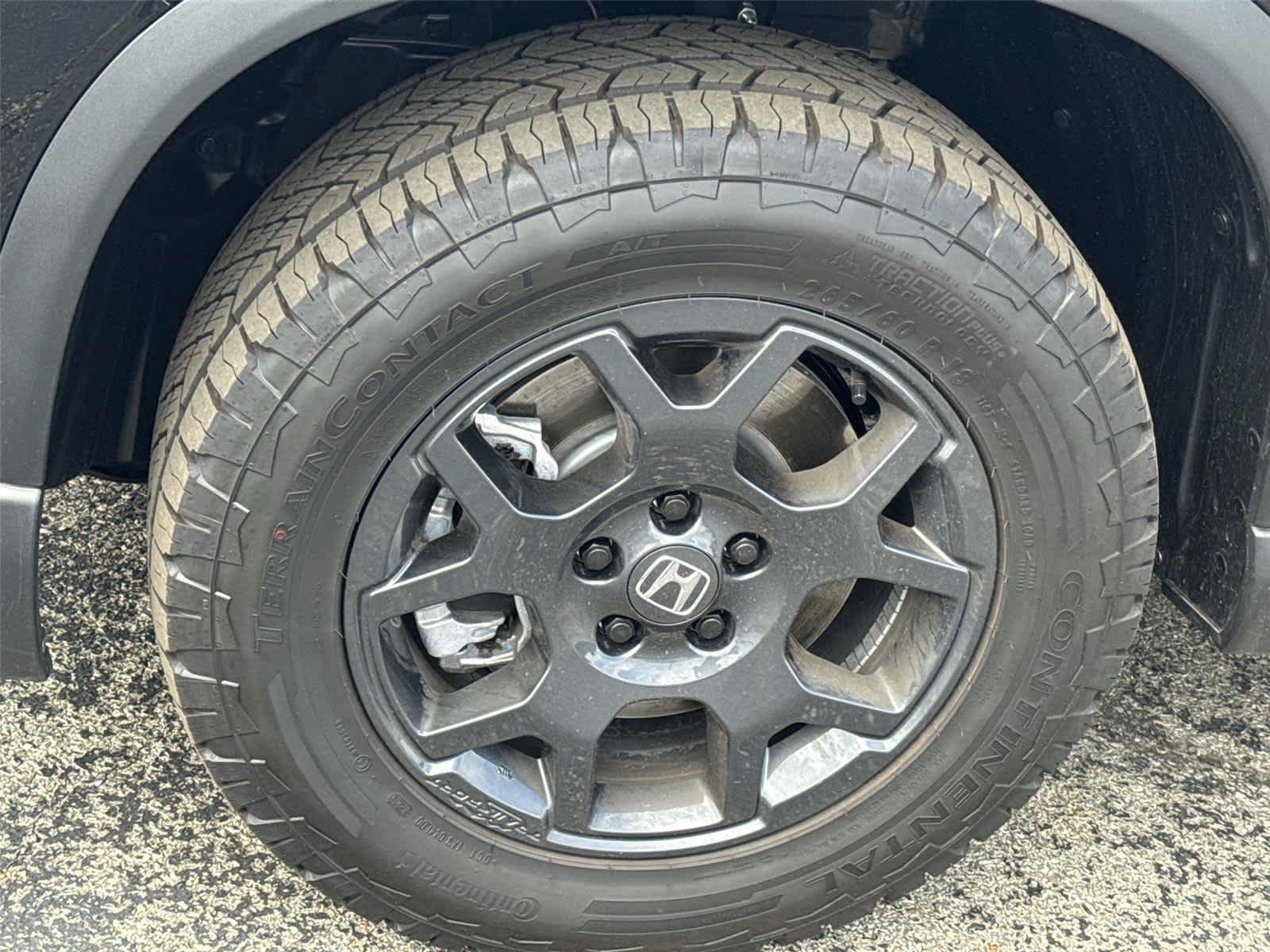 Used 2026 Honda Pilot TrailSport image 12