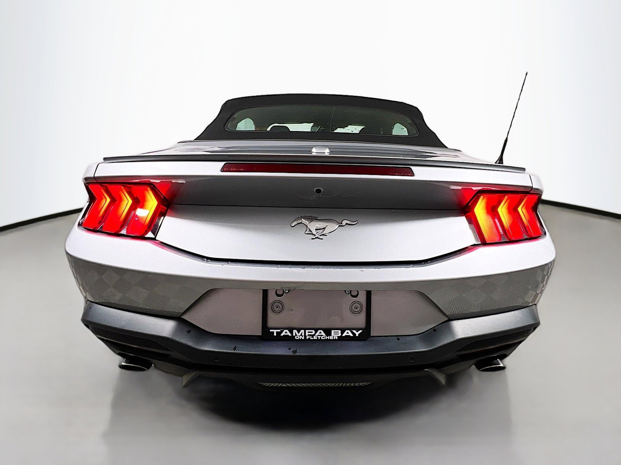 Used 2024 Ford Mustang Premium image 6