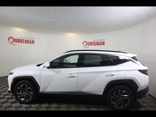 Used 2025 Hyundai Tucson Limited AWD/4WD image 7