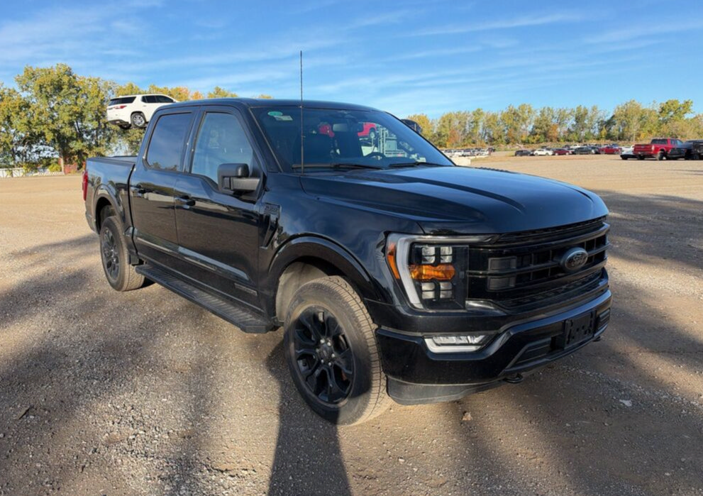 Used 2023 Ford F150 XLT w/ Equipment Group 302A High AWD/4WD image 5