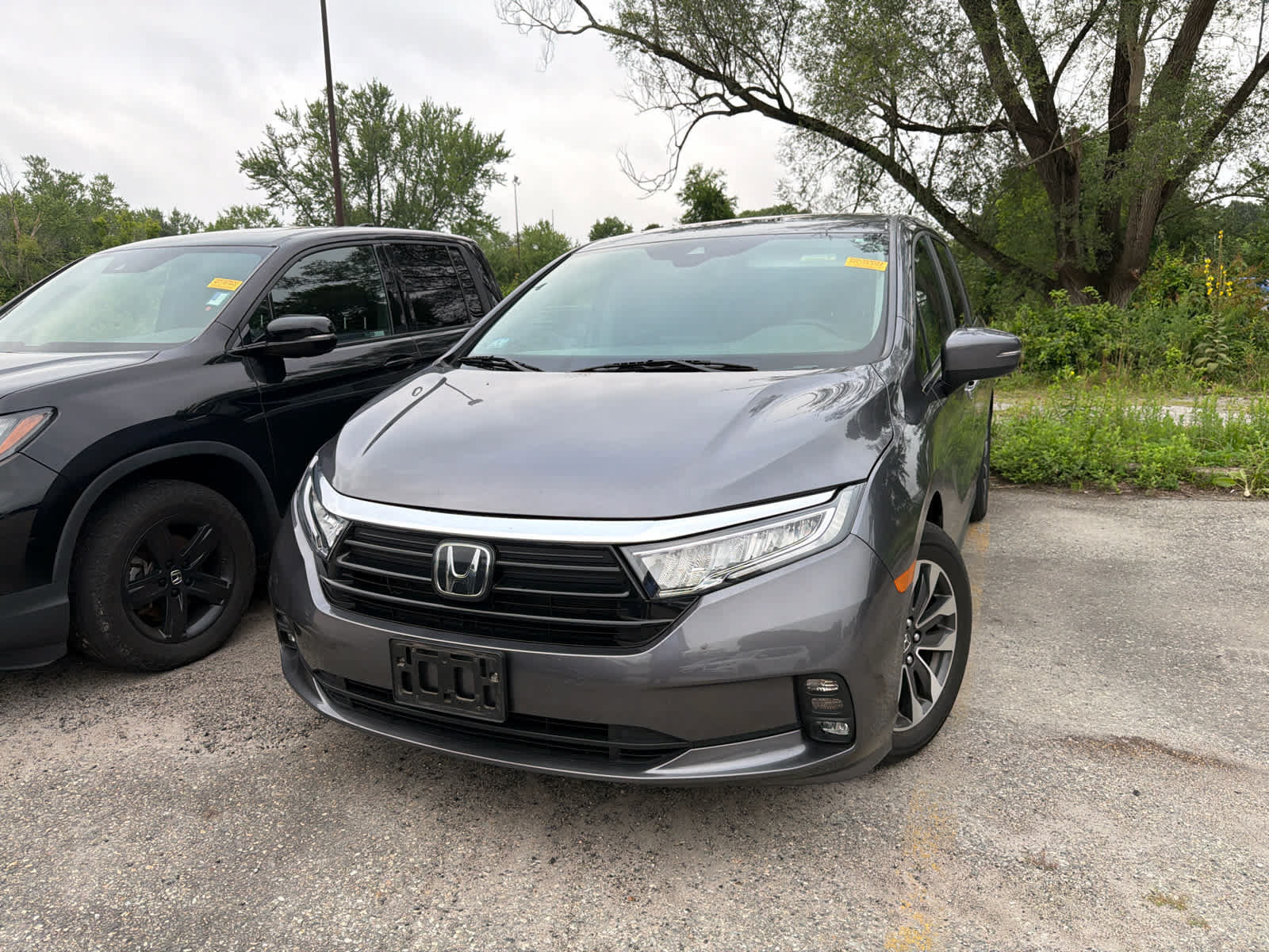 Used 2024 Honda Odyssey EX-L image 8