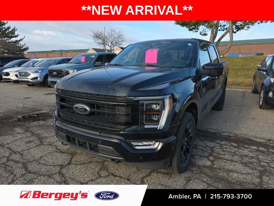 Used 2023 Ford F150 Lariat w/ Equipment Group 502A High image 1