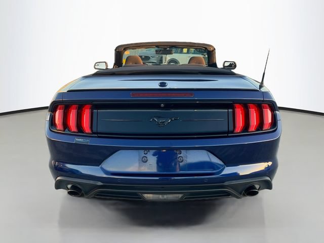 Used 2019 Ford Mustang Convertible w/ Equipment Group 101A RWD image 7