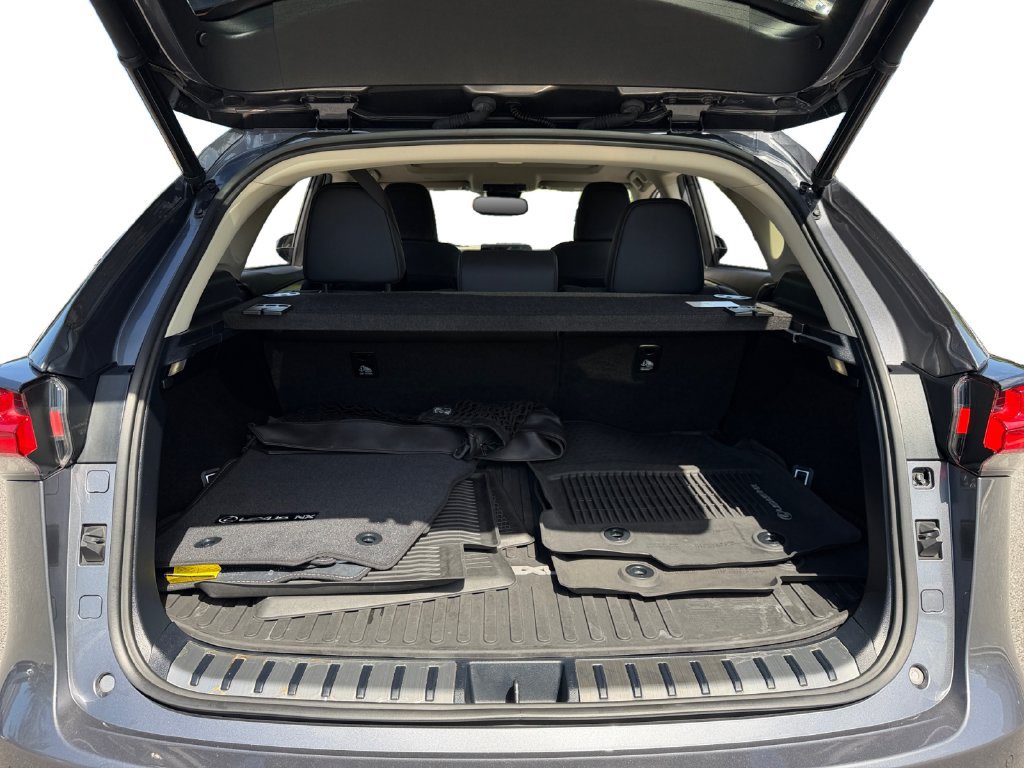 Used 2021 Lexus NX 300 AWD w/ Accessory Package image 9