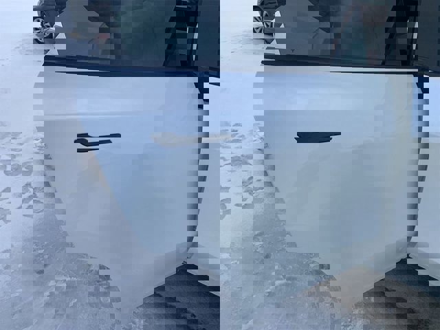 Used 2020 Tesla Model Y Performance image 13