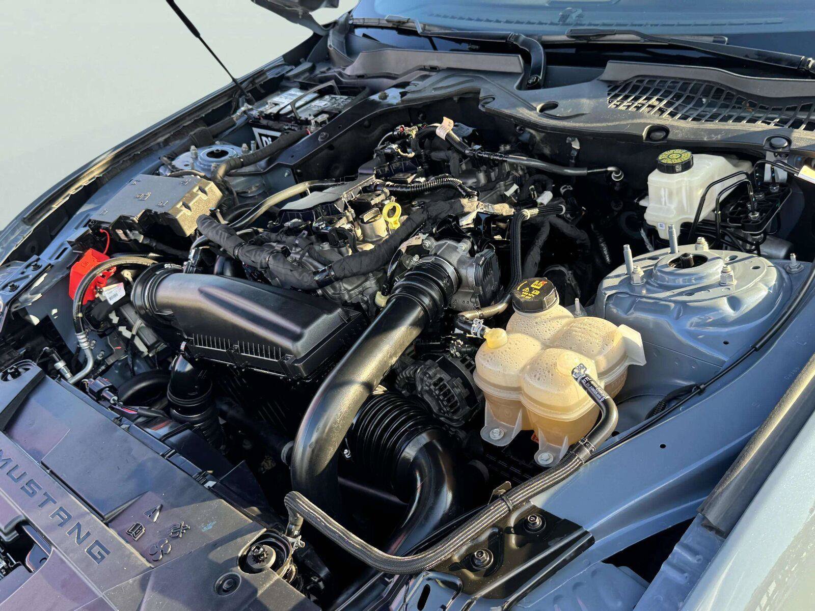 Used 2024 Ford Mustang Premium RWD image 42