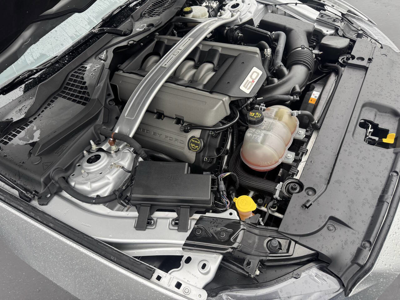 Used 2017 Ford Mustang GT w/ GT Performance Package image 17