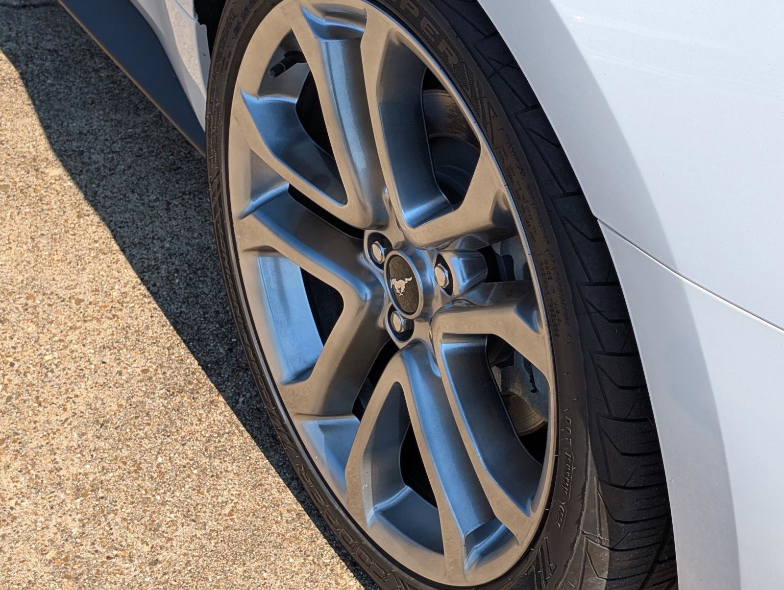 Used 2019 Ford Mustang GT Premium w/ Equipment Group 401A image 8