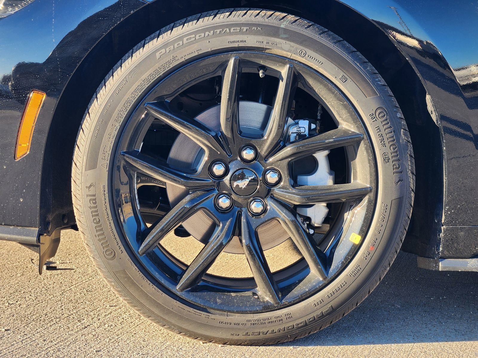 New 2026 Ford Mustang Coupe w/ Mustang Nite Pony Package image 11