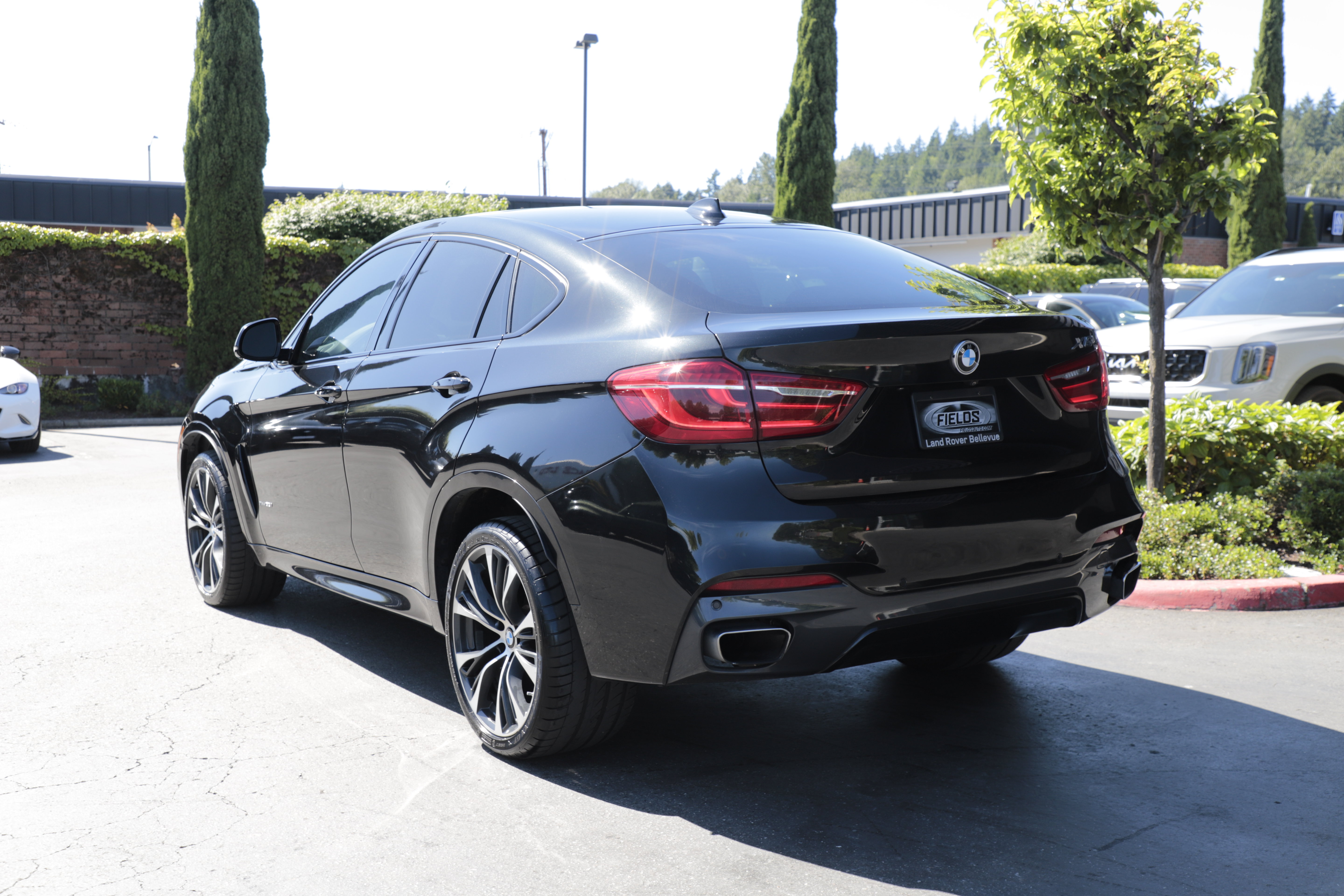 Used 2019 BMW X6 xDrive35i AWD/4WD image 6