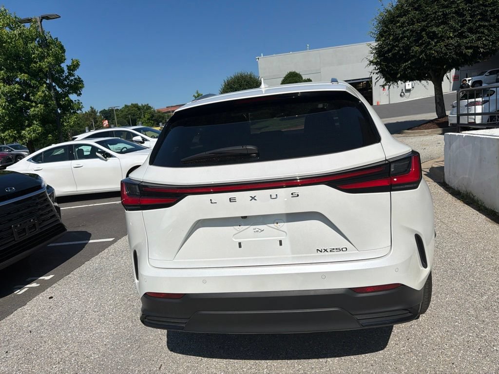 Certified 2024 Lexus NX 250 FWD image 14