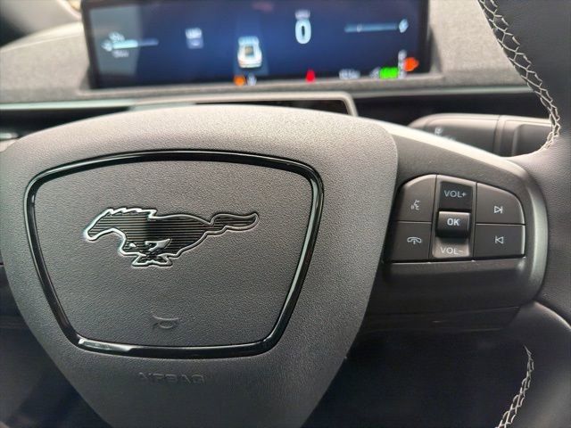 New 2025 Ford Mustang Mach-E GT w/ Interior Protection Package image 18