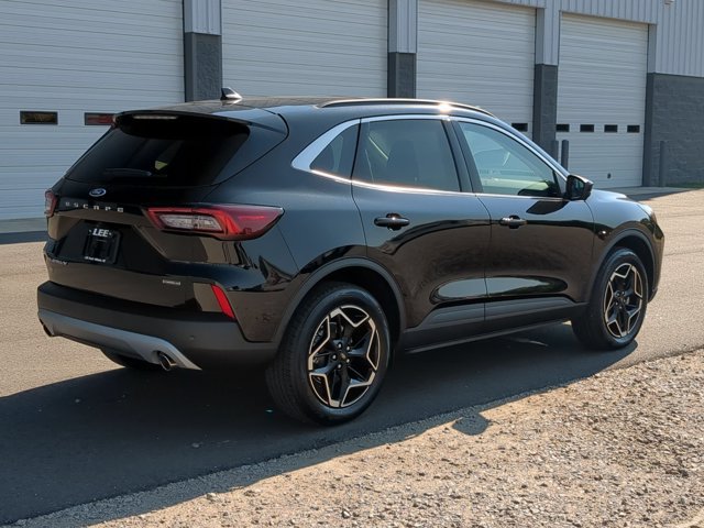 Certified 2026 Ford Escape Platinum w/ Premium Technology Package AWD/4WD image 3