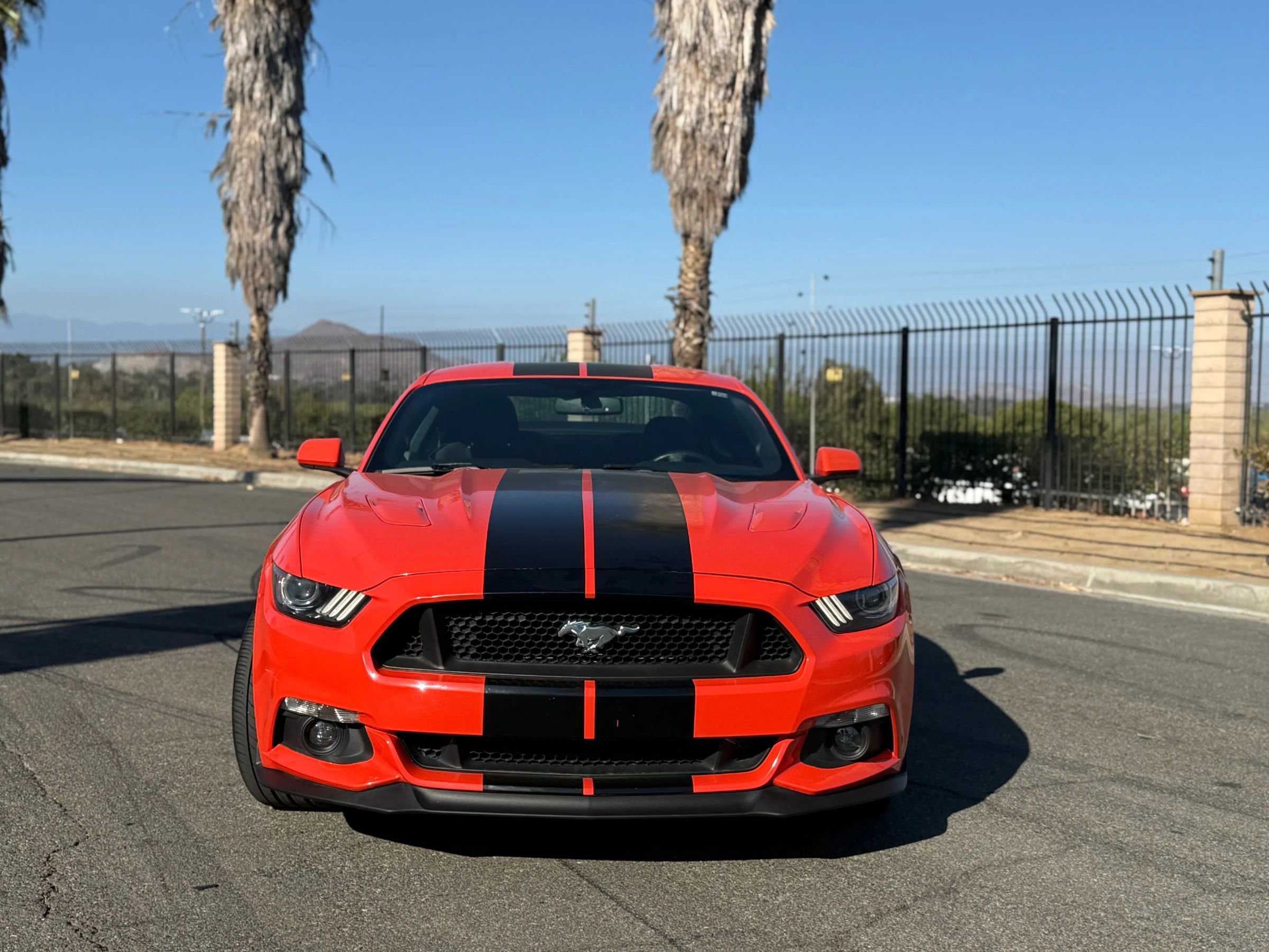 Used 2016 Ford Mustang GT w/ GT Performance Package image 4