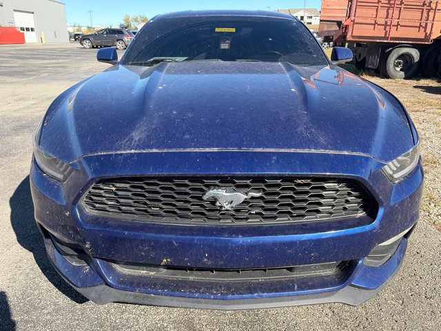 Used 2015 Ford Mustang Coupe RWD image 2