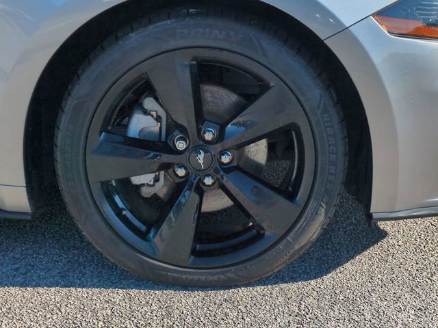 Used 2021 Ford Mustang Premium w/ Equipment Group 201A image 11