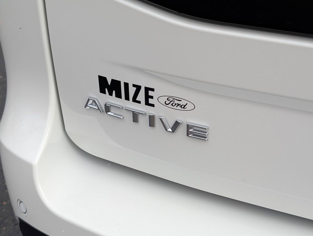 New 2025 Ford Expedition Active image 18