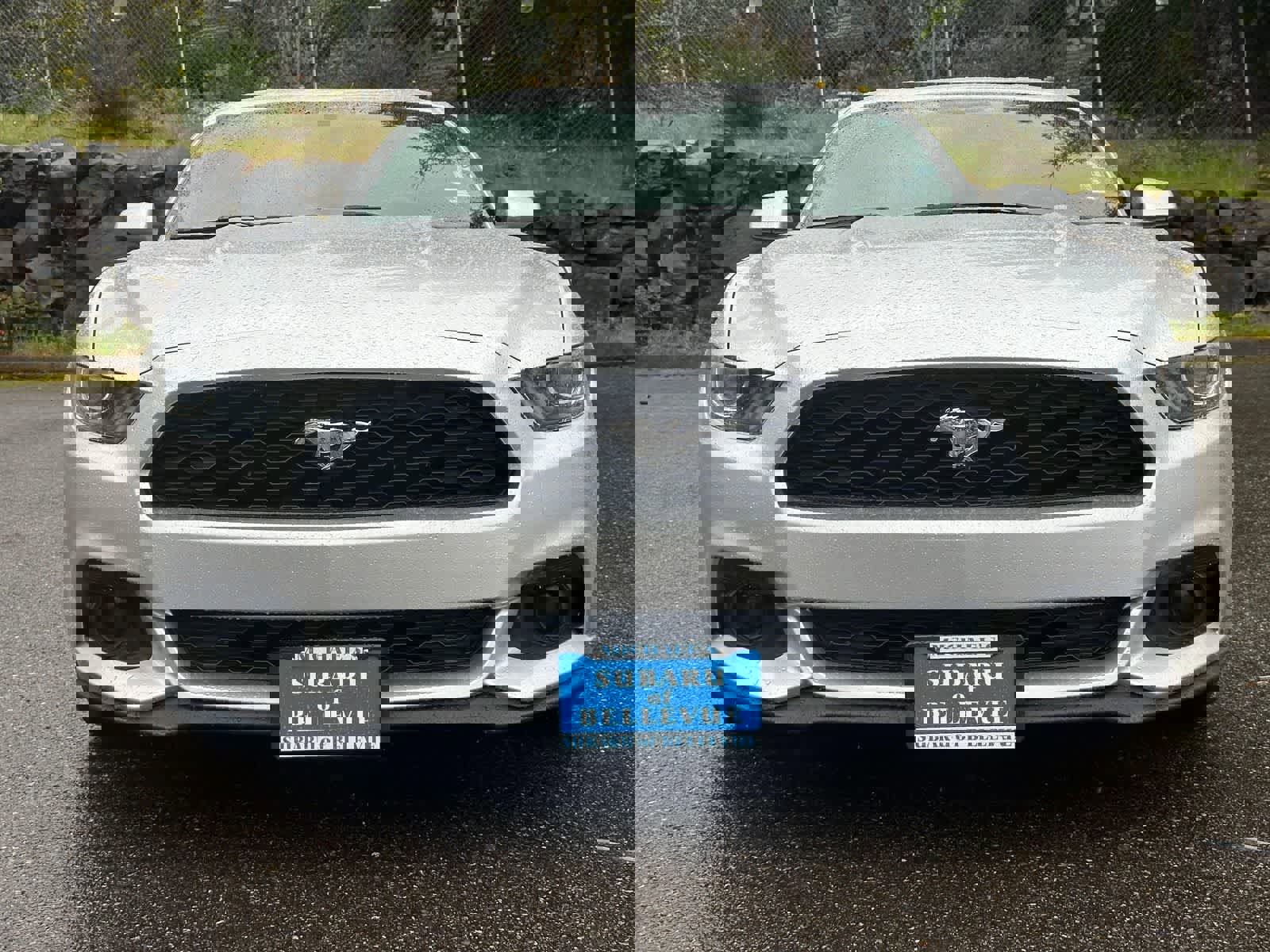 Used 2015 Ford Mustang Premium w/ Equipment Group 201A RWD image 5