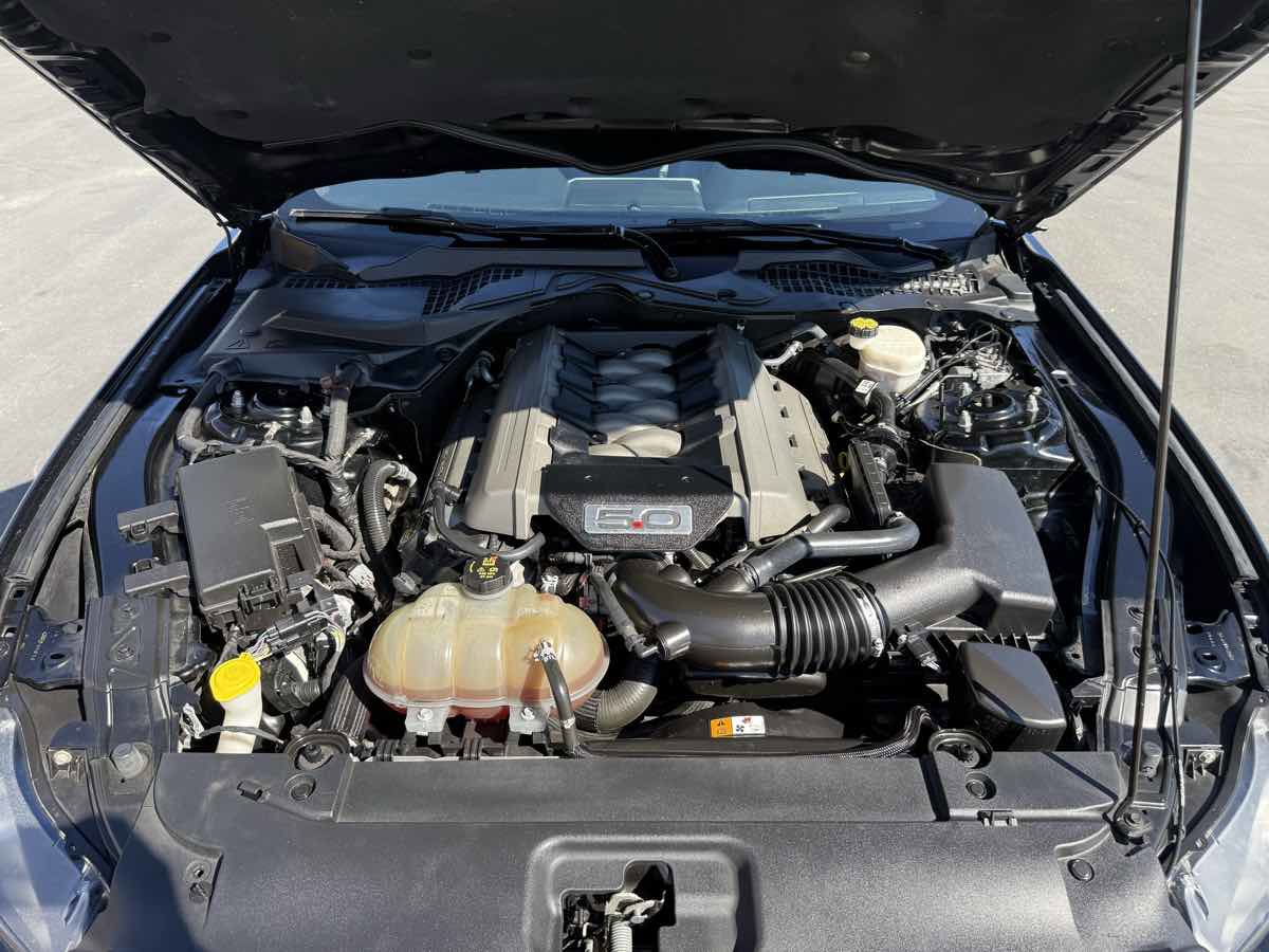 Used 2017 Ford Mustang GT Premium w/ Equipment Group 401A image 10