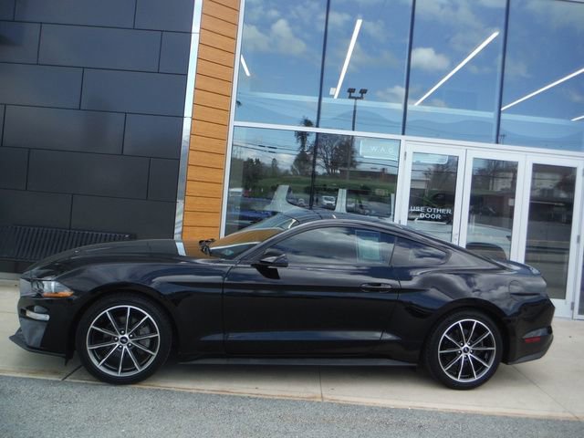 Used 2019 Ford Mustang Premium w/ Wheel & Stripe Package RWD image 2