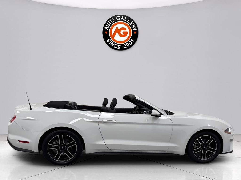 Used 2019 Ford Mustang Premium image 15