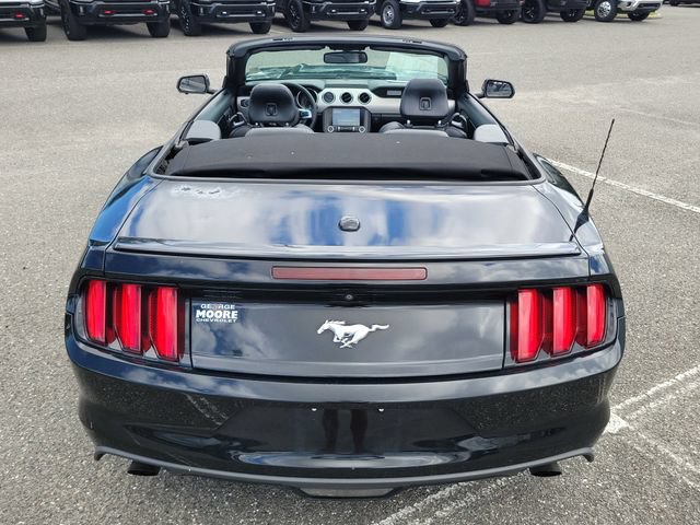 Used 2017 Ford Mustang Premium RWD image 16