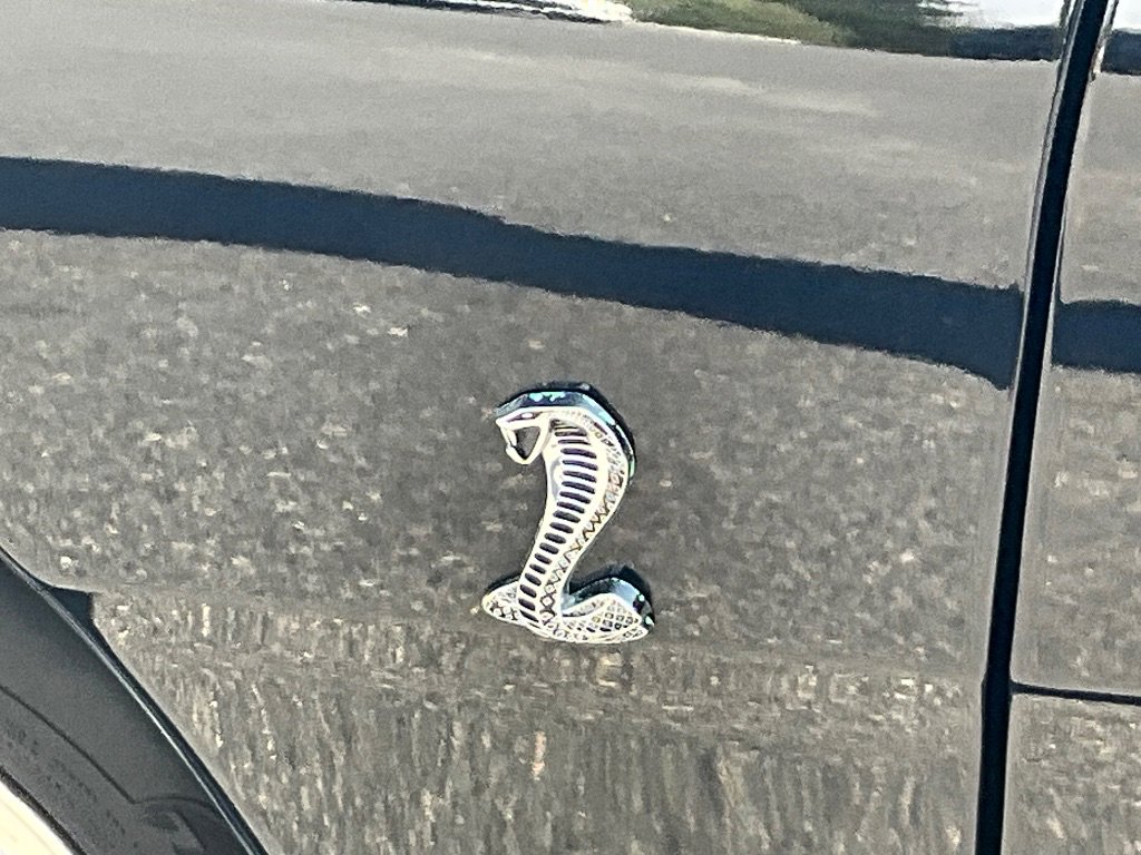 Used 1996 Ford Mustang Cobra RWD image 10