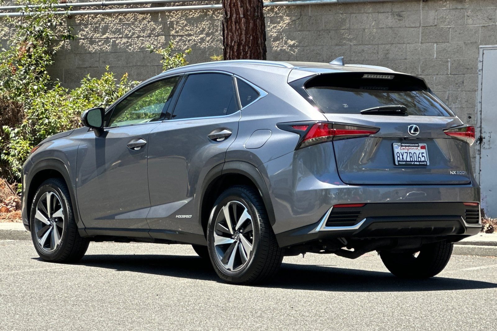 Used 2021 Lexus NX 300h AWD w/ Premium Package image 5