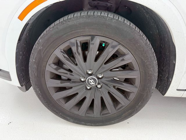 Used 2024 Hyundai Palisade Calligraphy image 7