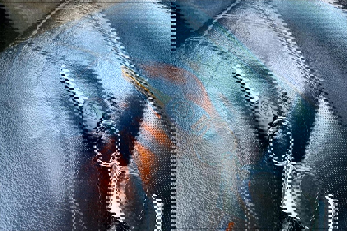 Used 2016 Buick Enclave Premium w/ Experience Buick Package image 11