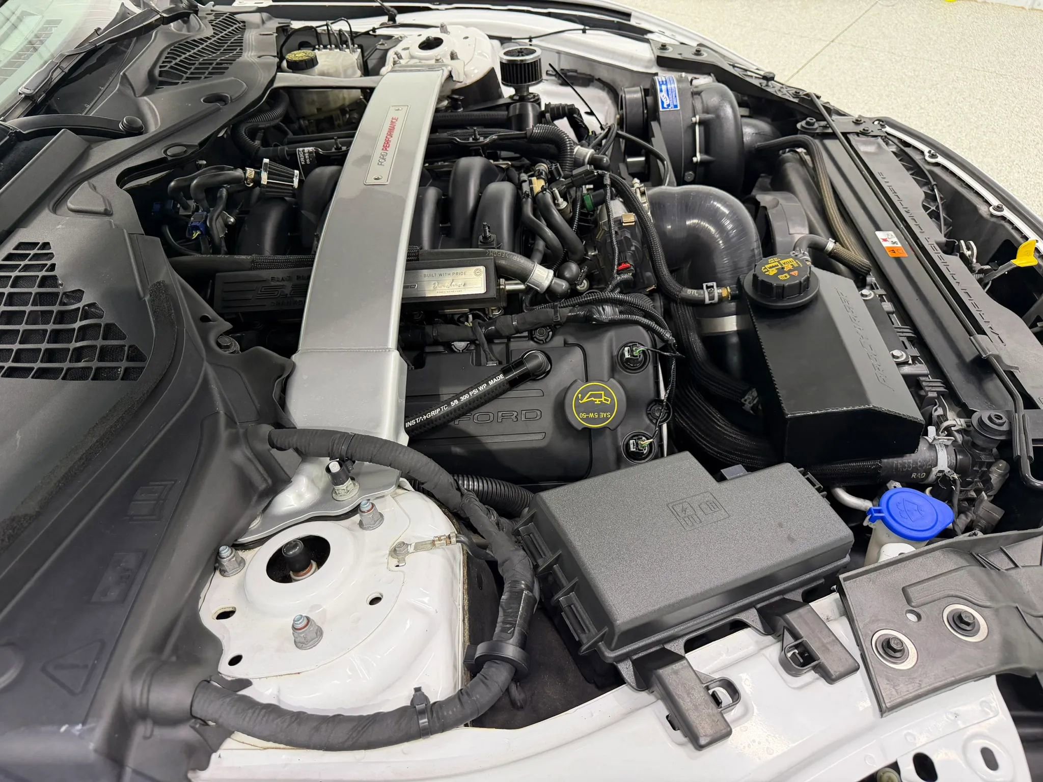 Used 2019 Ford Mustang Shelby GT350 w/ Technology Package image 12