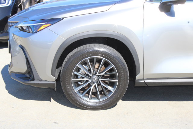 Certified 2026 Lexus NX 350h AWD w/ Cold Area Package image 4