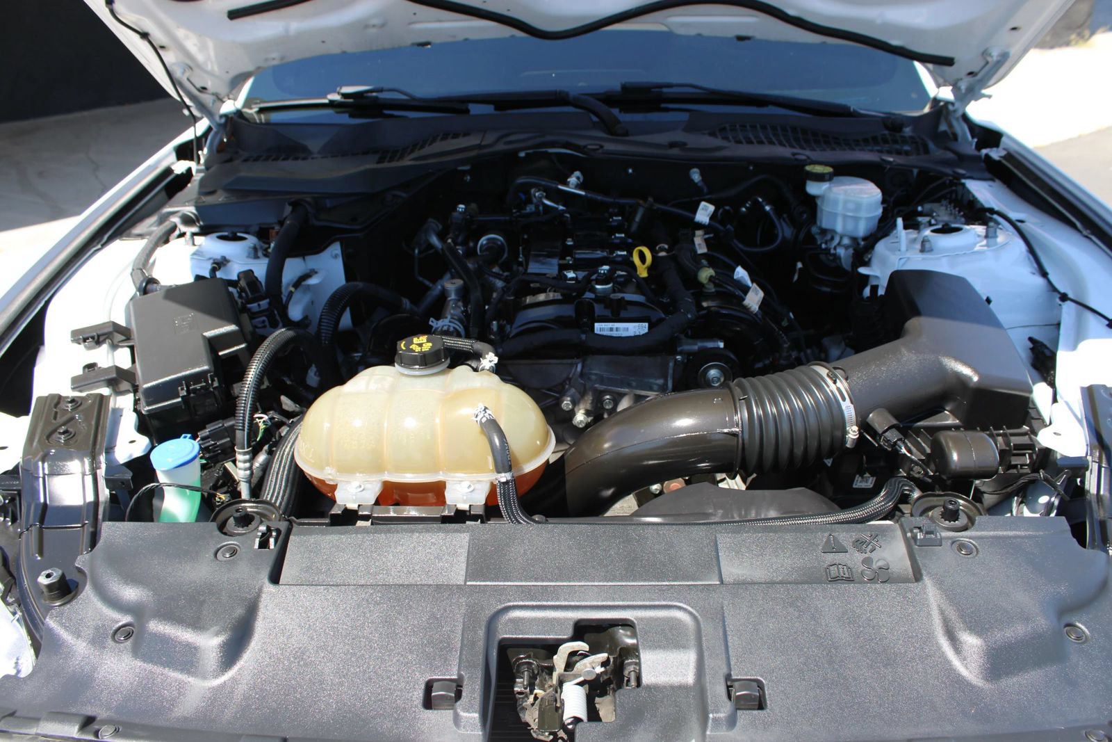 Used 2022 Ford Mustang Premium RWD image 16
