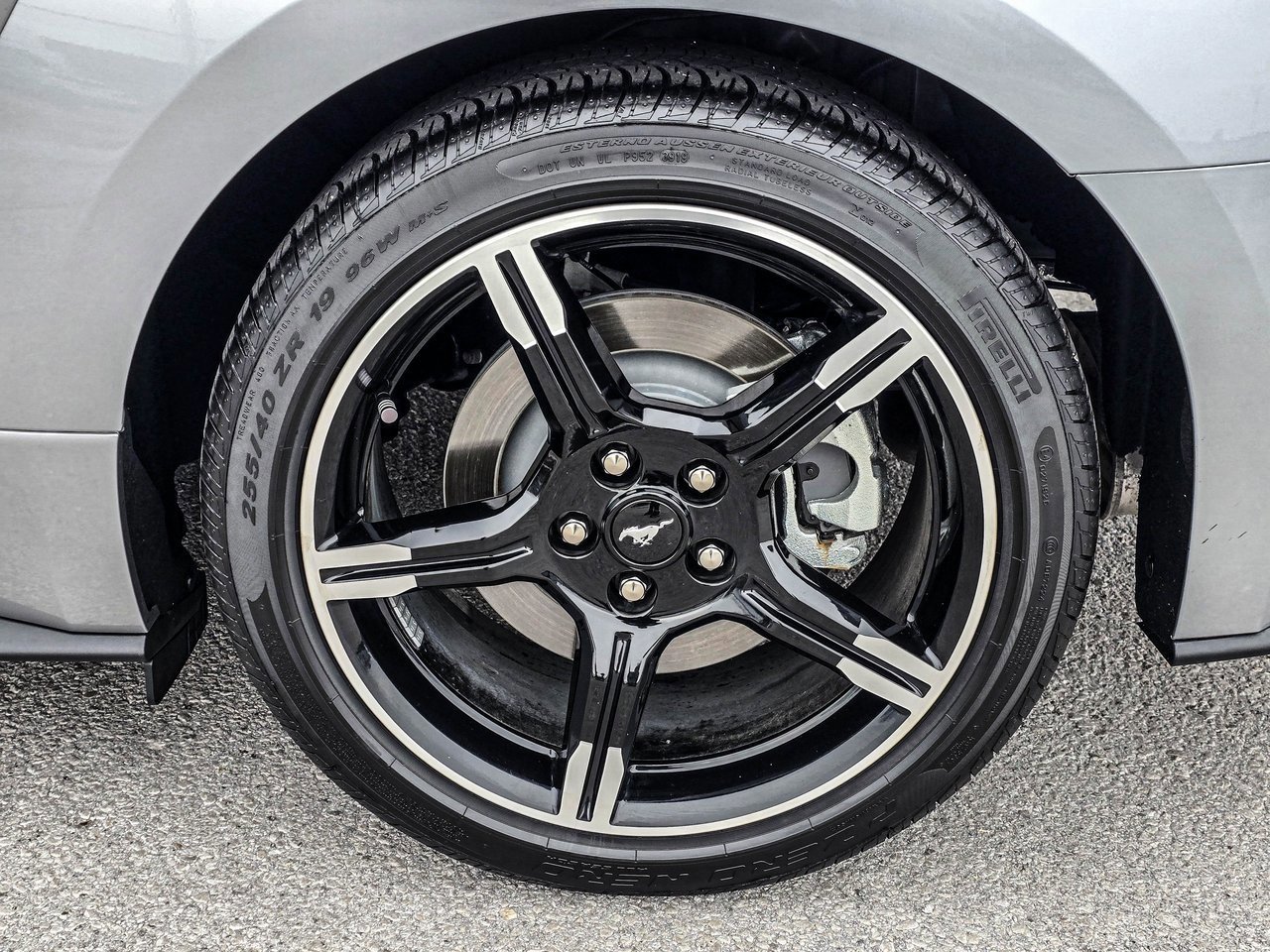 Used 2020 Ford Mustang GT Premium w/ California Special Package image 9