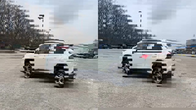 Used 2019 Toyota RAV4 Limited image 6