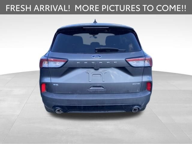 Used 2022 Ford Escape SE w/ SE Sport Appearance Package AWD/4WD image 6