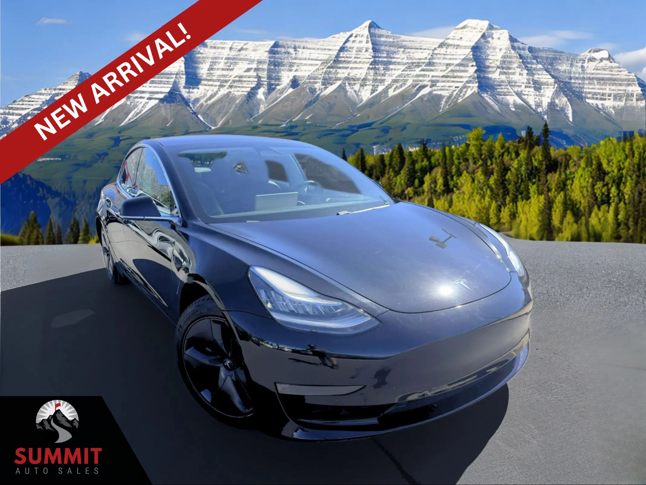 Used 2020 Tesla Model 3 Long Range